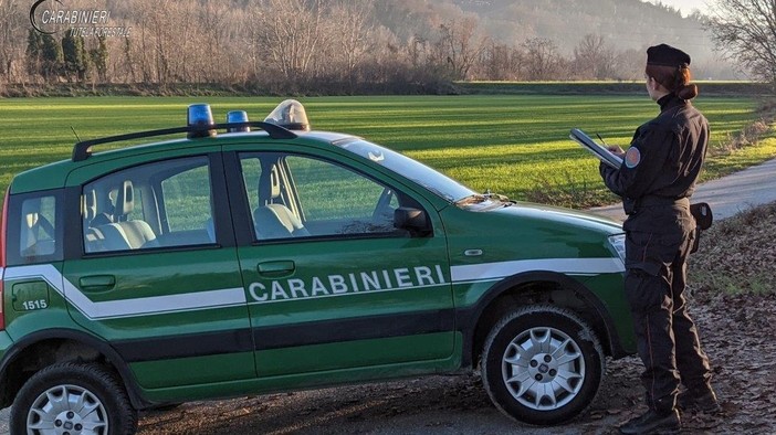 Bracconaggio ittico nel lago Maggiore a Ispra: denunciato un uomo, pescava con una fiocina