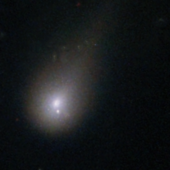 (foto Francesco Cotroneo)