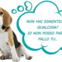 «Una Castellanza più pulita e accogliente per tutti, anche per i nostri amici a quattro zampe»: al via la campagna contro le deiezioni liquide dei cani