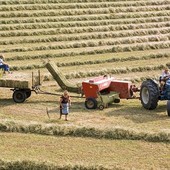 &quot;ul gerlu dul Mudestèn&quot; - la gesta del Modesto