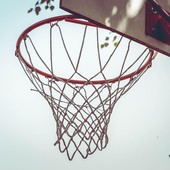 Basket in carrozzina con Insubria M.o.v.i.n.g. Basket in carrozzina con Insubria M.o.v.i.n.g.