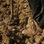 “N'a cica da bogu” - “Una cicca di tabacco”