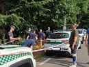 Gallarate, &quot;cadono&quot; gli alberi di via Curtatone