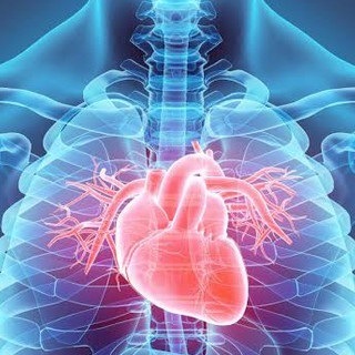 Malattie cardiovascolari, tre giorni per ascoltare il cuore