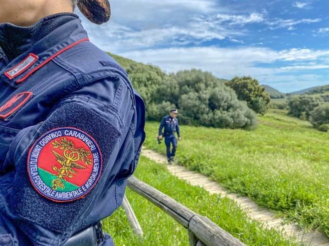 Cugliate Fabiasco, brucia plastica e scarti in un bidone: denunciato dai carabinieri forestali Cugliate Fabiasco, brucia plastica e scarti in un bidone: denunciato dai carabinieri forestali