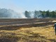 Roghi nel Varesotto: campi  in fiamme tra caldo record e disattenzione