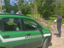 (foto comunicato stampa carabinieri forestali)