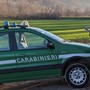 Bracconaggio ittico nel lago Maggiore a Ispra: denunciato un uomo, pescava con una fiocina