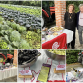 La presentazione del progetto “Varese? Che città del cavolo!” di questa mattina negli spazi dell'Ortobiobroggini La presentazione del progetto “Varese? Che città del cavolo!” di questa mattina negli spazi dell'Ortobiobroggini