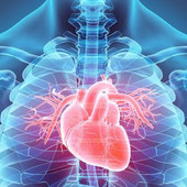 Malattie cardiovascolari, tre giorni per ascoltare il cuore Malattie cardiovascolari, tre giorni per ascoltare il cuore
