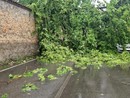 foto dalla pagina del Comune di Cesano Maderno