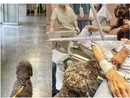 foto dalla pagina Facebook dell'Asst Nord Milano