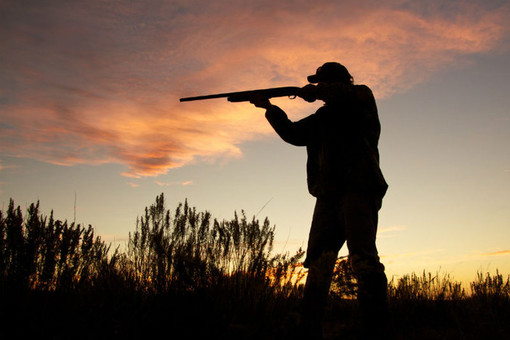 Lomellina: cacciatore 49enne del Varesotto trovato morto nei campi