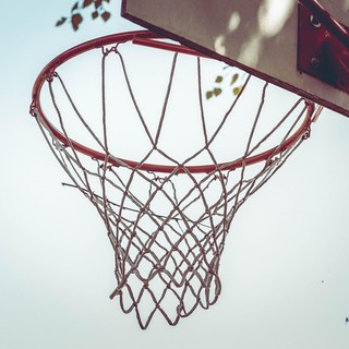 Basket in carrozzina con Insubria M.o.v.i.n.g.