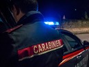 Spari nella notte nei boschi di Sesto Calende, due giovani feriti da colpi d'arma da fuoco Spari nella notte nei boschi di Sesto Calende, due giovani feriti da colpi d'arma da fuoco