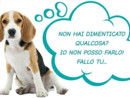 «Una Castellanza più pulita e accogliente per tutti, anche per i nostri amici a quattro zampe»: al via la campagna contro le deiezioni liquide dei cani «Una Castellanza più pulita e accogliente per tutti, anche per i nostri amici a quattro zampe»: al via la campagna contro le deiezioni liquide dei cani