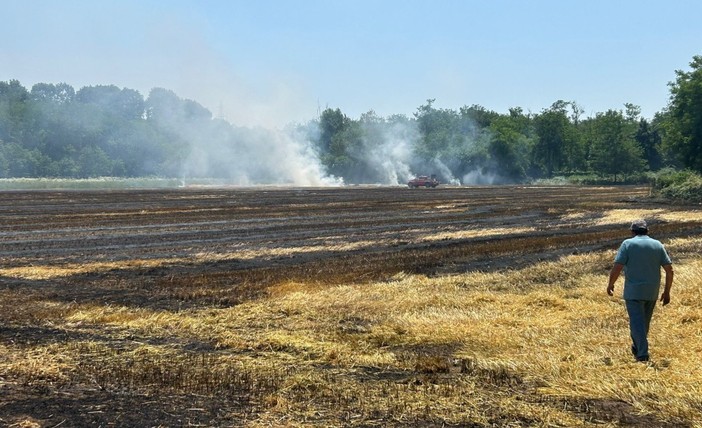 Roghi nel Varesotto: campi  in fiamme tra caldo record e disattenzione