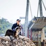 È morto Night Spirit, il cane poliziotto eroe del ponte Morandi