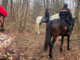 Contro gli spacciatori nei boschi arrivano anche i carabinieri a cavallo Contro gli spacciatori nei boschi arrivano anche i carabinieri a cavallo