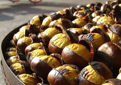 Al Parco Alto Milanese un weekend tra funghi, castagne e solidarietà Al Parco Alto Milanese un weekend tra funghi, castagne e solidarietà