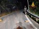 Frana nella notte sulla Statale 659 a Crodo: auto colpita dai detriti