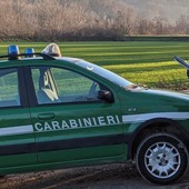 Bracconaggio ittico nel lago Maggiore a Ispra: denunciato un uomo, pescava con una fiocina