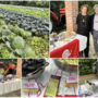 La presentazione del progetto “Varese? Che città del cavolo!” di questa mattina negli spazi dell'Ortobiobroggini La presentazione del progetto “Varese? Che città del cavolo!” di questa mattina negli spazi dell'Ortobiobroggini