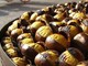 Al Parco Alto Milanese un weekend tra funghi, castagne e solidarietà Al Parco Alto Milanese un weekend tra funghi, castagne e solidarietà