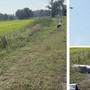 FOTO E VIDEO. Quelle cicogne salvate che iniziano la loro nuova vita: «Buon viaggio ragazze! Fate buon volo» FOTO E VIDEO. Quelle cicogne salvate che iniziano la loro nuova vita: «Buon viaggio ragazze! Fate buon volo»