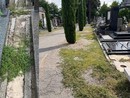 La protesta per lo stato del cimitero di Busto: «Totale noncuranza»