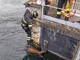 Capriolo nel canale: salvato dai vigili del fuoco