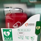 Colto da shock anafilattico dopo una puntura di insetto, si salva grazie a un defibrillatore e a una videochiamata con il 118