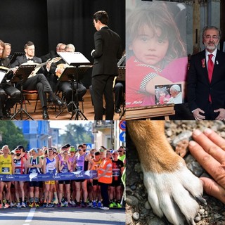 EVENTI DEL WEEKEND. Ultimi lampi di Baff, poi sboccia la primavera. E c'è da correre e pedalare ancora