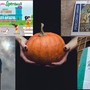EVENTI DEL WEEKEND. Profumi, sapori e saperi d'autunno tutti da gustare nel Bustese