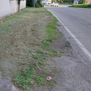 Sos verde: «A Olgiate accumuliamo sempre problemi quando basterebbe usare il buon senso»