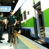 Verbania, arrestato un corriere della droga proveniente dal Milanese