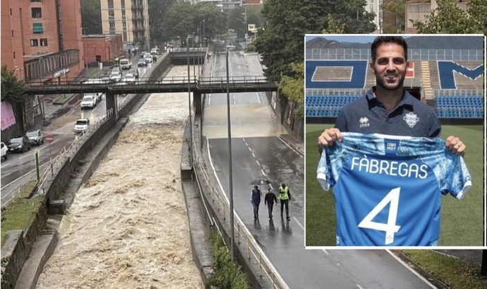 Un'immagine condivisa da Fabrégas su Instagram Un'immagine condivisa da Fabrégas su Instagram