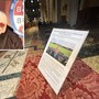 «Ciao Eugenio, grazie per la tua vita generosa. Ora tifa e gioca a carte lassù con gli amici» «Ciao Eugenio, grazie per la tua vita generosa. Ora tifa e gioca a carte lassù con gli amici»