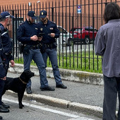 Controlli antidroga nelle scuole di Gallarate: in azione il “cane poliziotto” Zorro