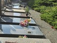 Le immagini del raid al cimitero di Gorla Minore Le immagini del raid al cimitero di Gorla Minore