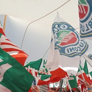 Forza Italia in piazza per le giornate del tesseramento