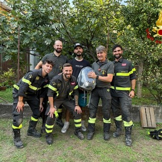Gatto intrappolato tra due muri a Cislago: i vigili del fuoco aprono dei varchi e lo salvano