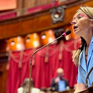 Maria Chiara Gadda sul Decreto fiscale: «La montagna ha partorito il topolino» Maria Chiara Gadda sul Decreto fiscale: «La montagna ha partorito il topolino»