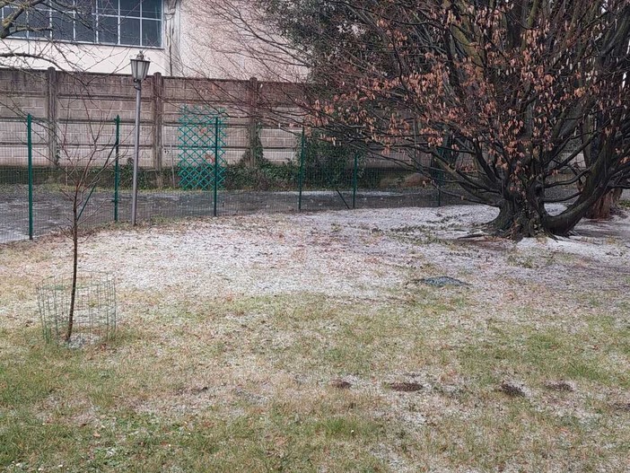 Olgiate, prato imbiancato