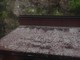 La grandine accumulata su una tettoia al Campo dei Fiori (foto da Olgher) e, sotto nella gallery, i chicchi raccolti da Ester a Melide (foto via NaturalMeteo) e il fiume bianco che ha invaso Verbania