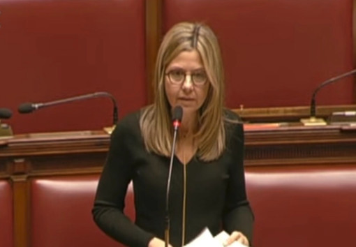 «L’agitazione e lo sventolio rabbioso di fogli in Aula non servono a nascondere una semplice verità: la ministra Bernini non è in grado di dare risposte sui tagli alle università»
