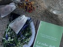 Quelle erbe che raccontano tanto della nostra terra e quindi di noi. In Valle nasce una guida Quelle erbe che raccontano tanto della nostra terra e quindi di noi. In Valle nasce una guida