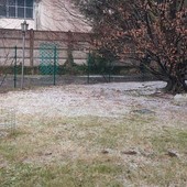 Olgiate, prato imbiancato