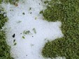 Sempre Leggiuno e sempre da NaturalMeteo Sempre Leggiuno e sempre da NaturalMeteo