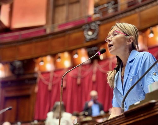 Frontalieri, Gadda e Borghi (Iv): «La destra si è trasformata nel nuovo sceriffo di Nottingham»